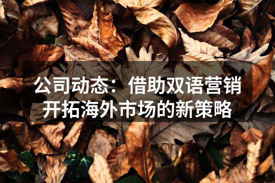 公司动态：借助双语营销开拓海外市场的新策略