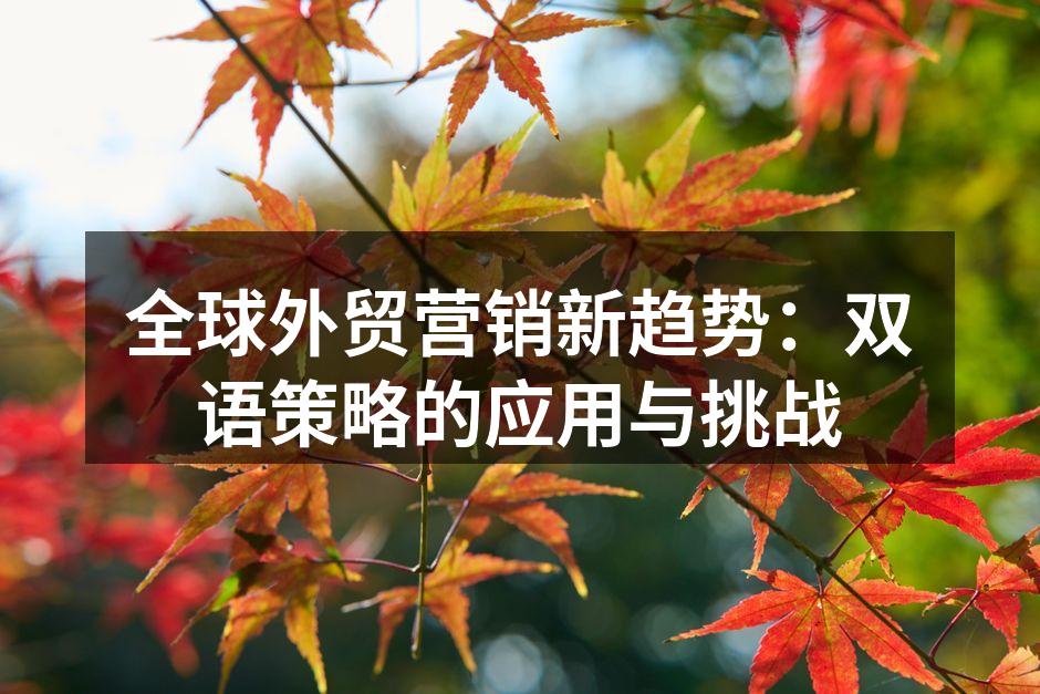 双语营销提升品牌认知度