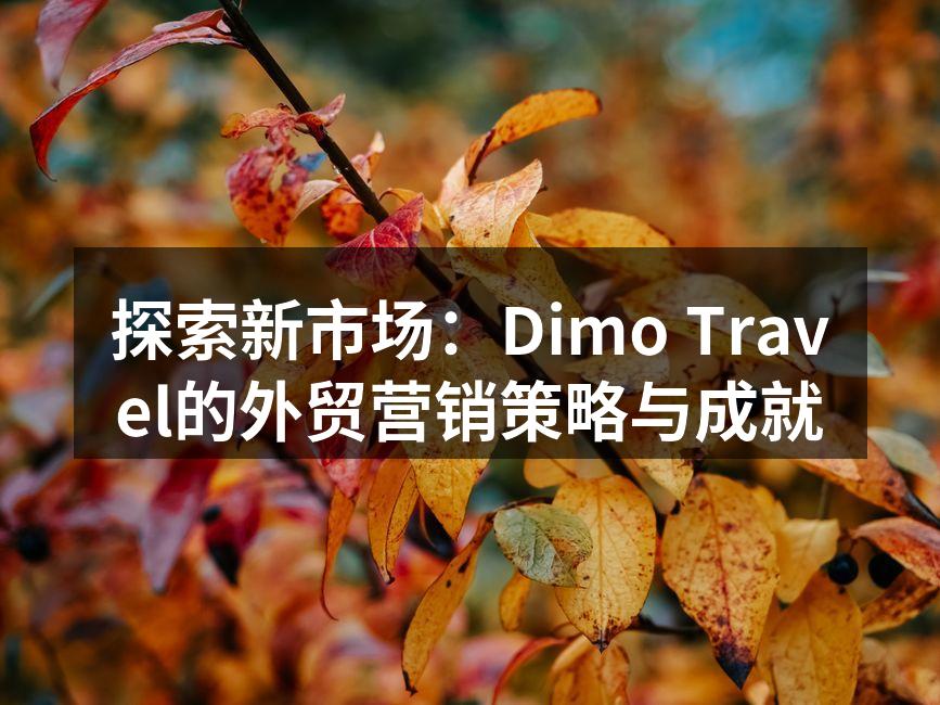探索新市场：Dimo Travel的外贸营销策略与成就