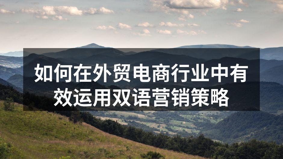 外贸电商的双语营销策略示意图