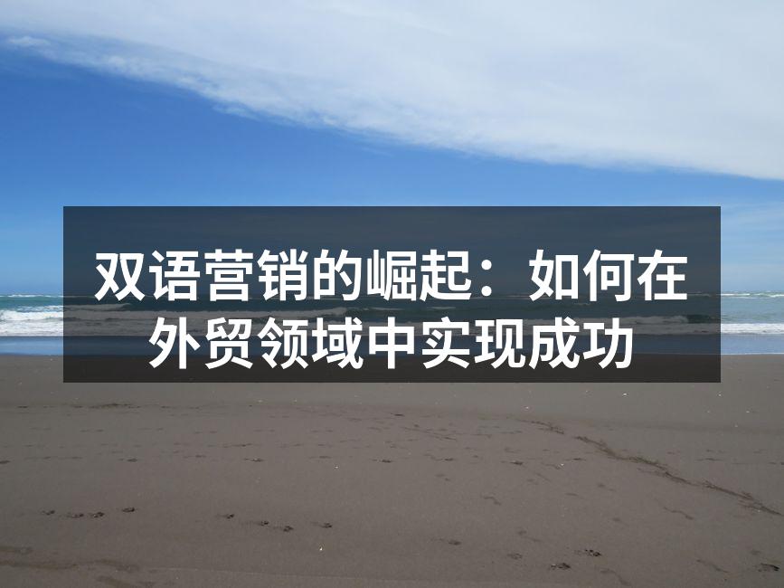 双语营销的崛起：如何在外贸领域中实现成功