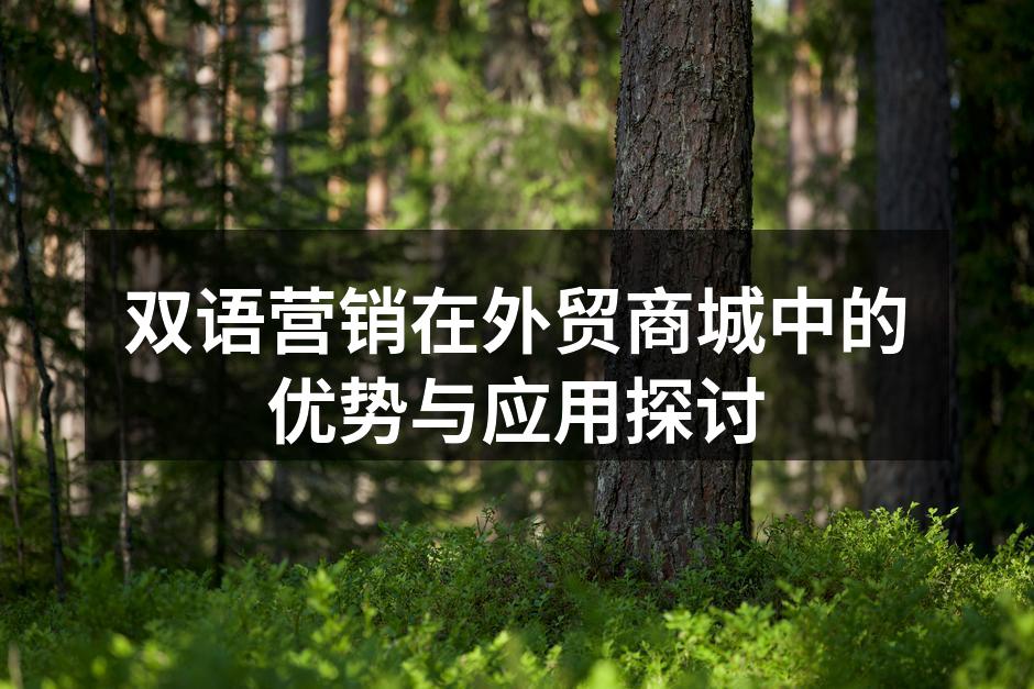 双语营销在外贸商城中的优势与应用探讨